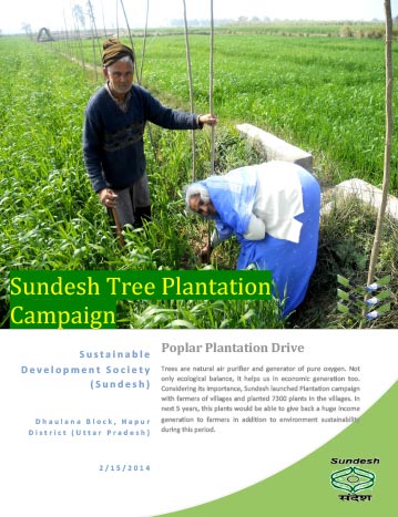 tree-plantation-campaign